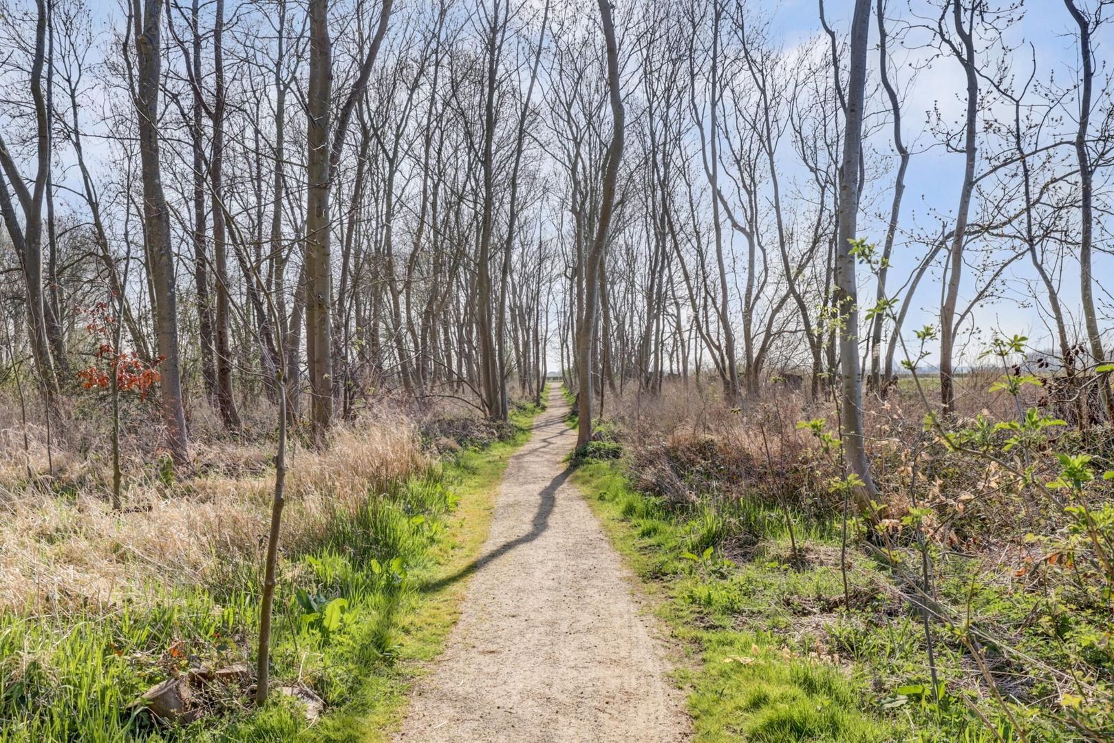 Haagwijk 26, Voorschoten foto-50