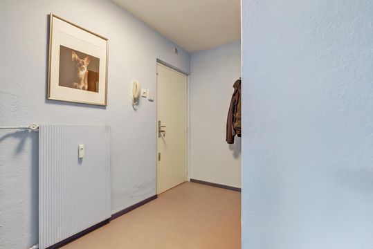 Roggekamp 331, Den Haag small-3