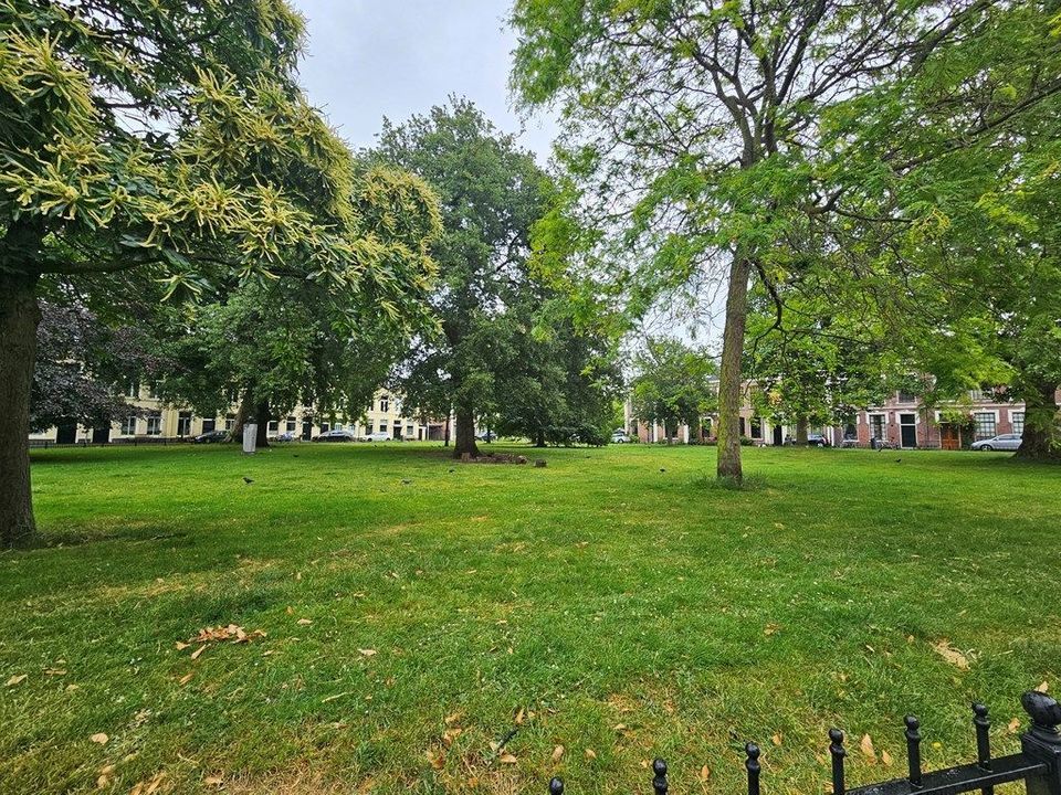 Ripperdapark 9