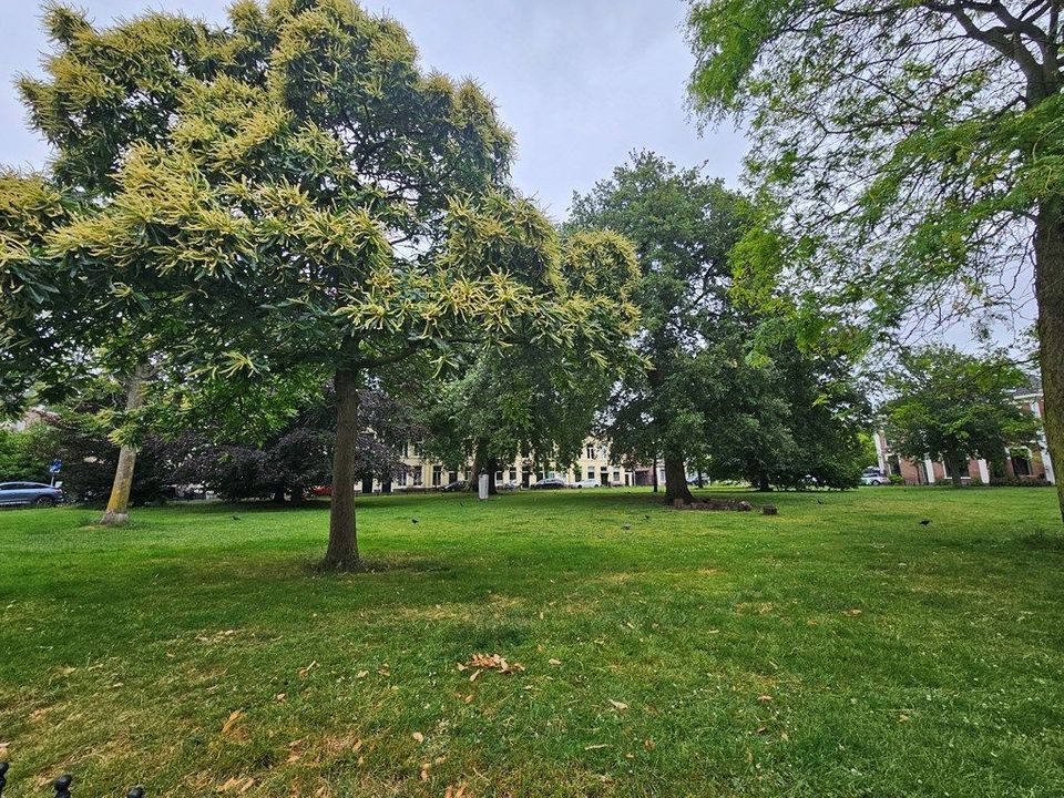 Ripperdapark 9