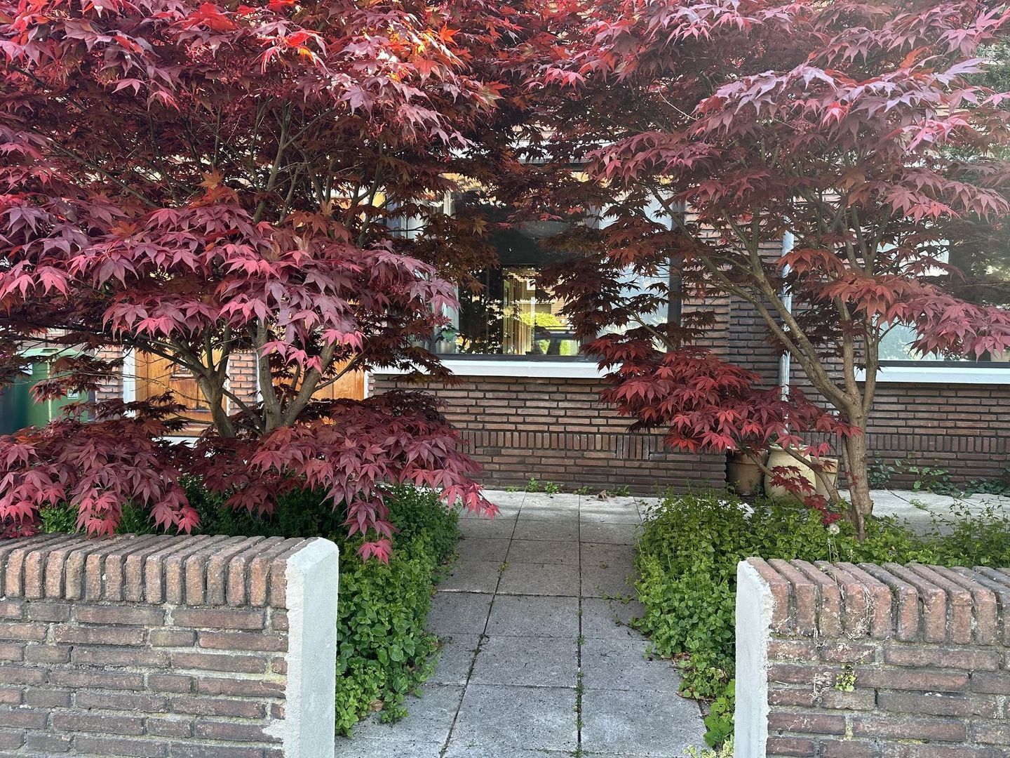 Jacob Catsstraat 34, Voorburg foto-6
