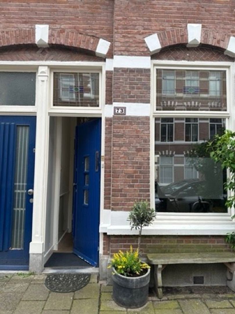 Rijklof van Goensstraat 73, Den Haag foto-5