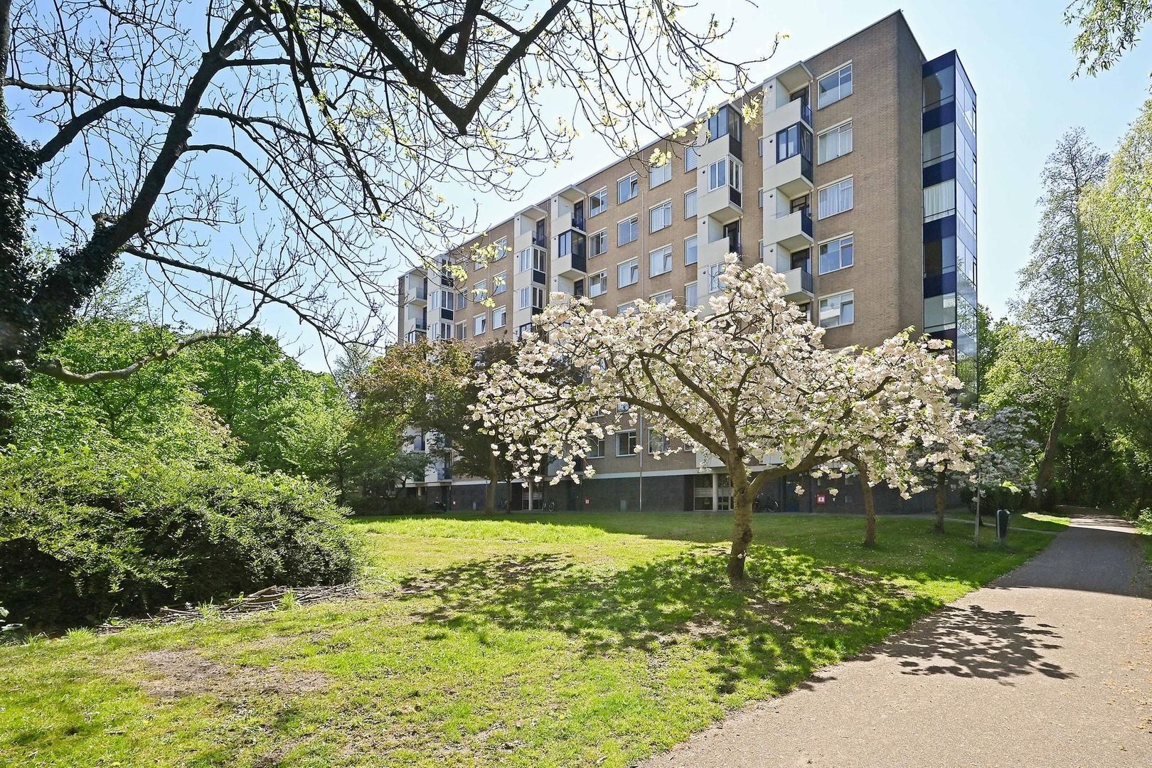 Vlaskamp 94, Den Haag foto-25