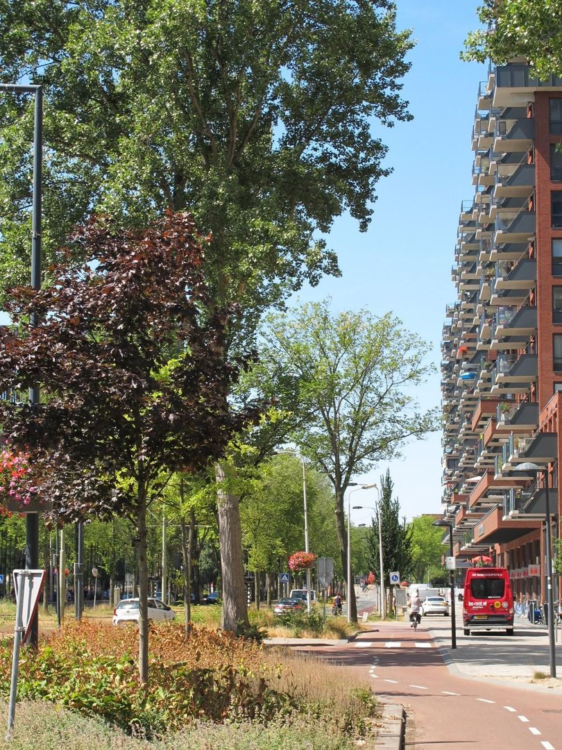 Martinus Nijhofflaan 474, Delft foto-10