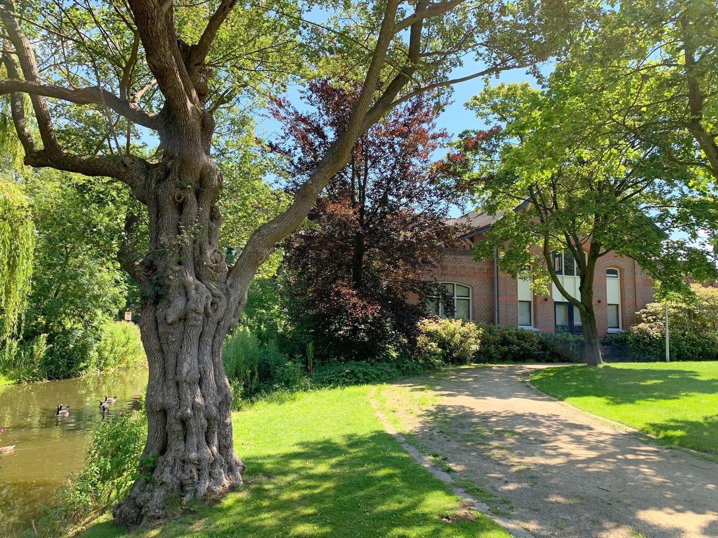 Zocherweg 2, Delft foto-68