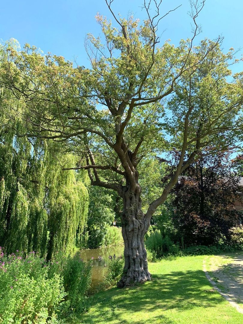 Zocherweg 2, Delft foto-67