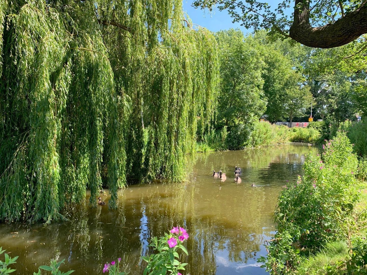 Zocherweg 2, Delft foto-69