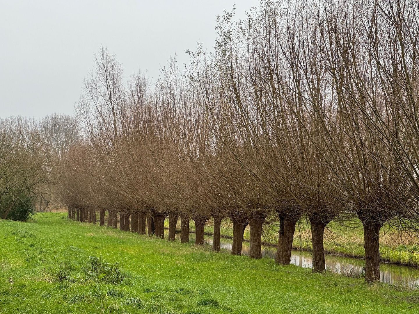 Laan der Verenigde Naties 99, Delft foto-28