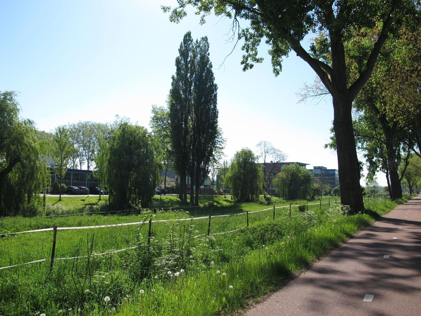 Rotterdamseweg 386 B 1, Delft foto-19