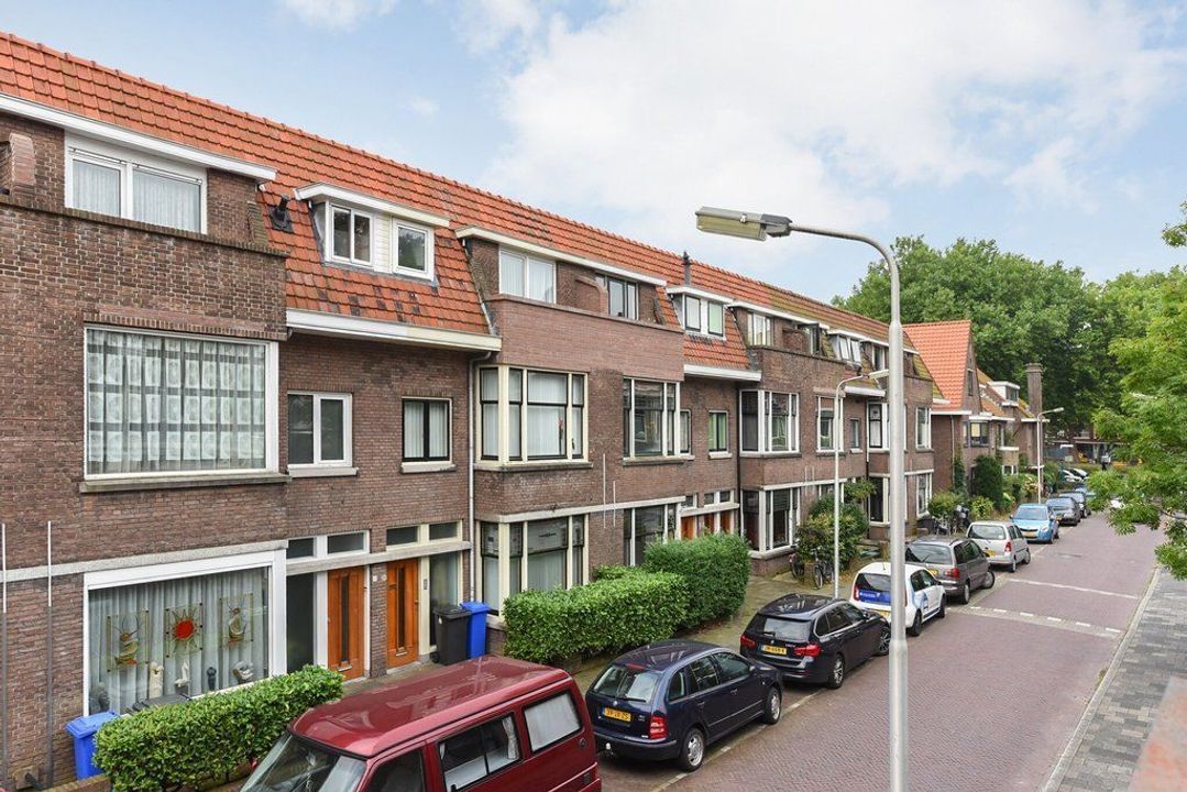 Botaniestraat, Delft