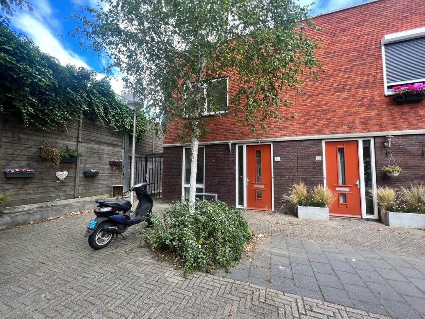 Oliemolen 38, Delft foto-0