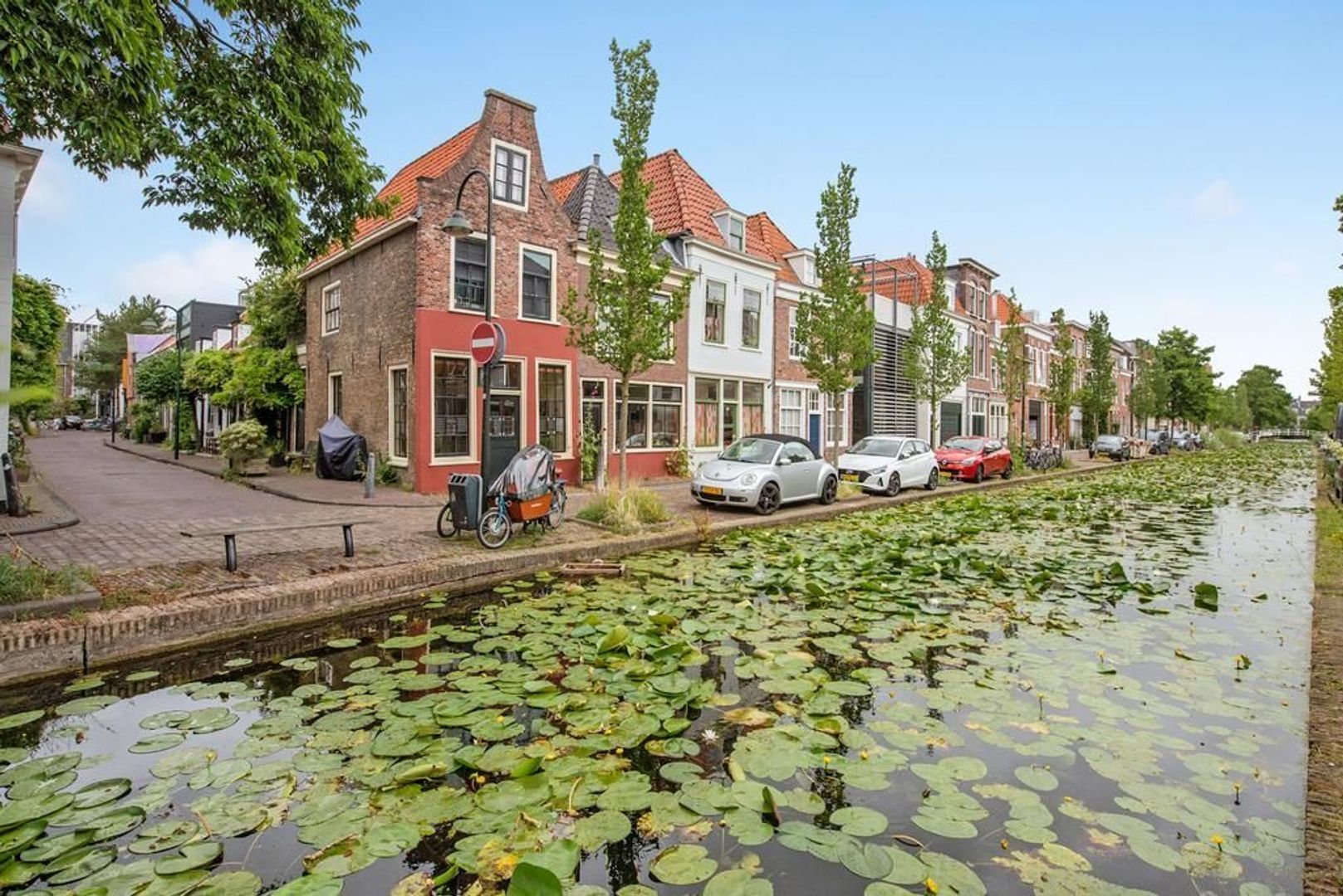 Pluympot 6, Delft foto-25