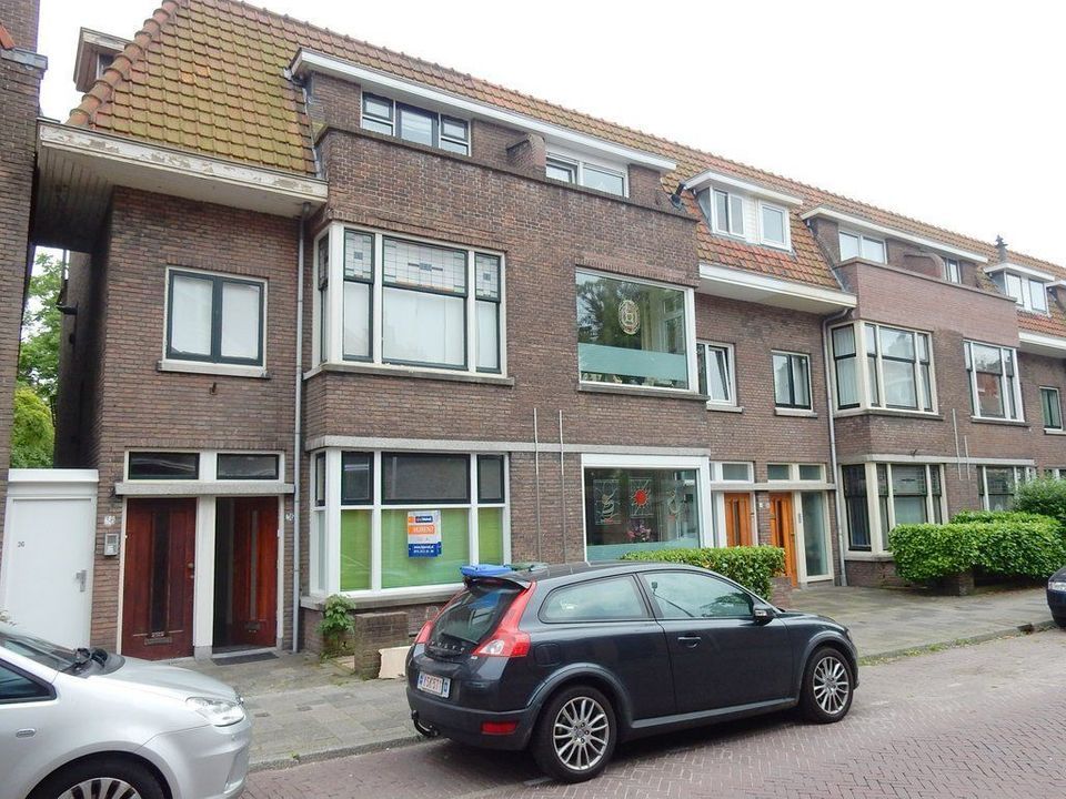Botaniestraat, Delft