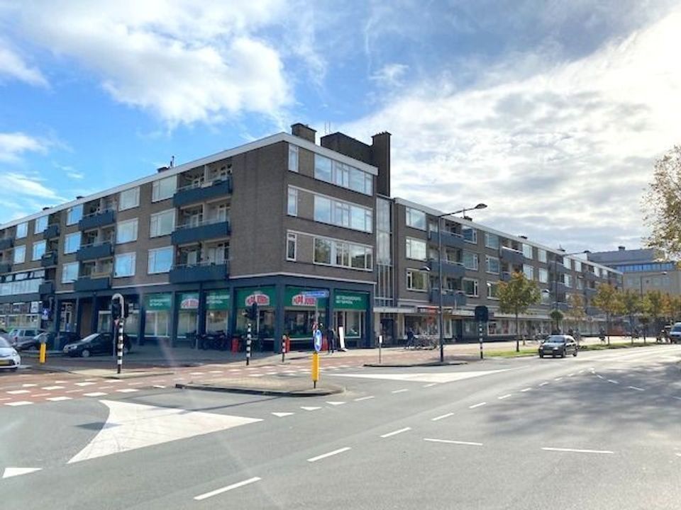 Papsouwselaan, Delft