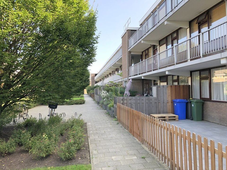 Frank van Borselenstraat, Delft