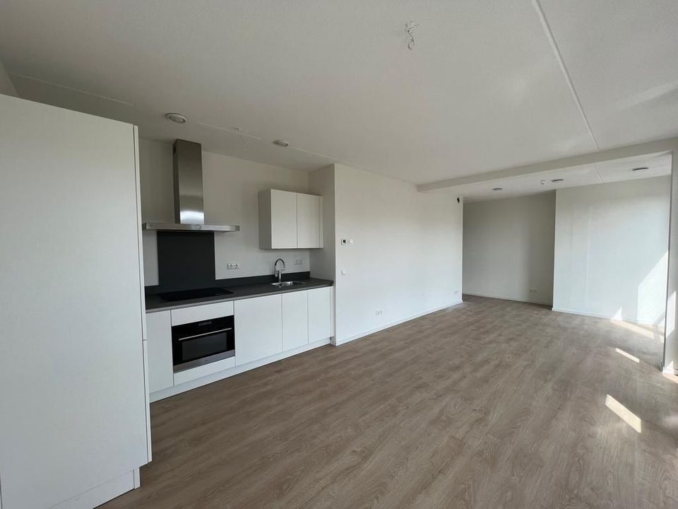 Houttuinen, Delft