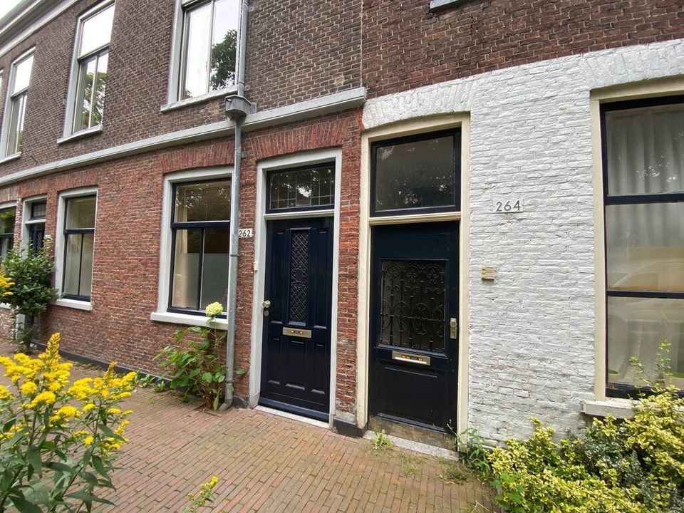 Zuiderstraat, Delft