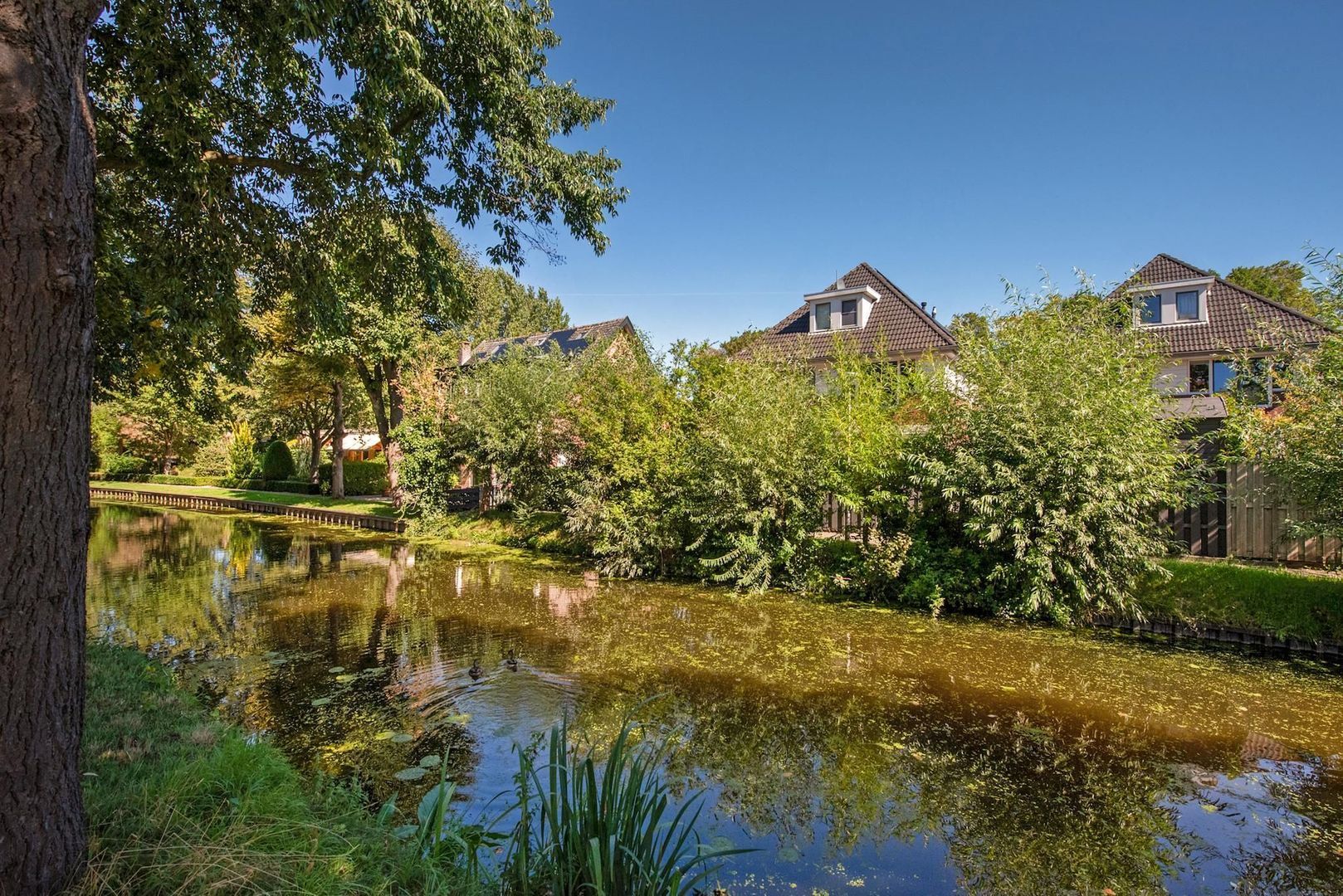 Delfgauwseweg 66, Delft foto-5