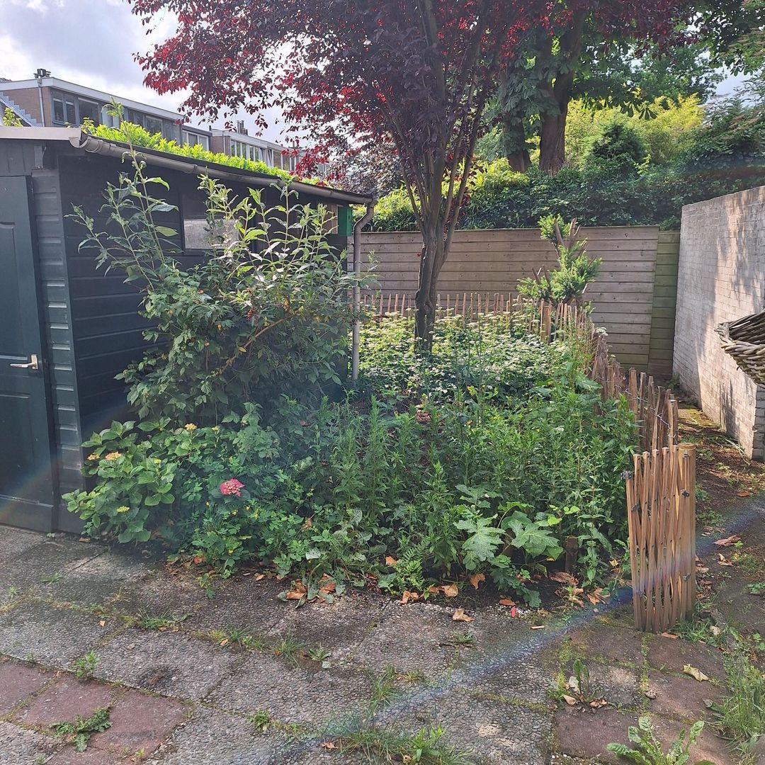 Ternatestraat 2, Delft foto-19
