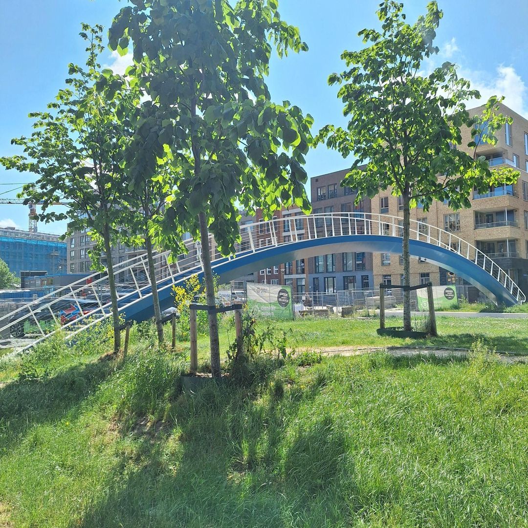 Van Leeuwenhoekpark 17 B, Delft foto-20