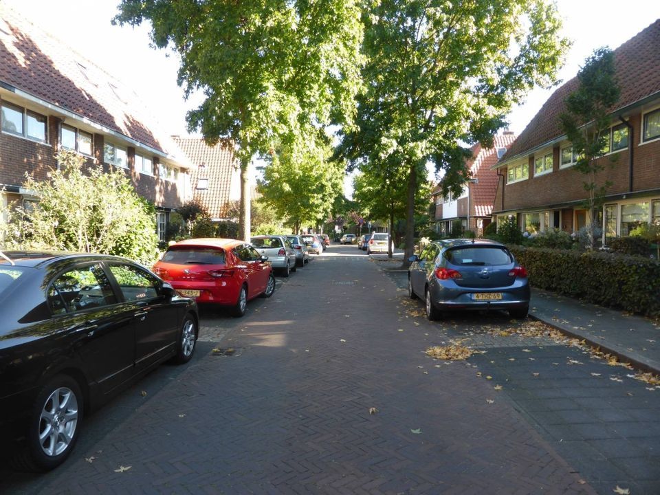 Image 17