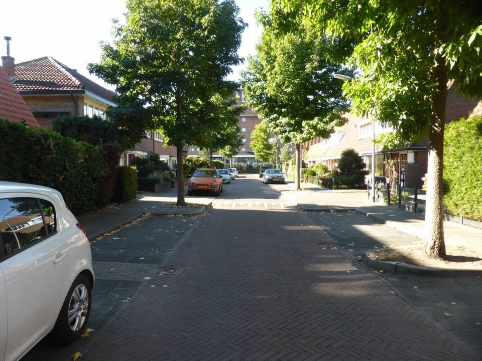 Image 16