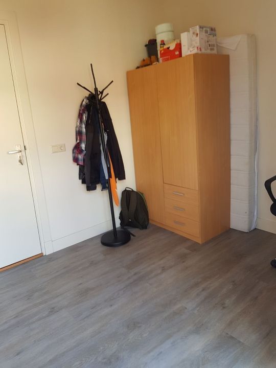 Image 8