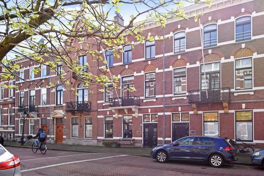 1e Sweelinckstraat 50 blur