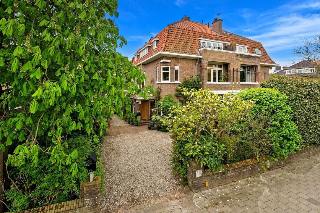 Nieuwe Parklaan 62 blur