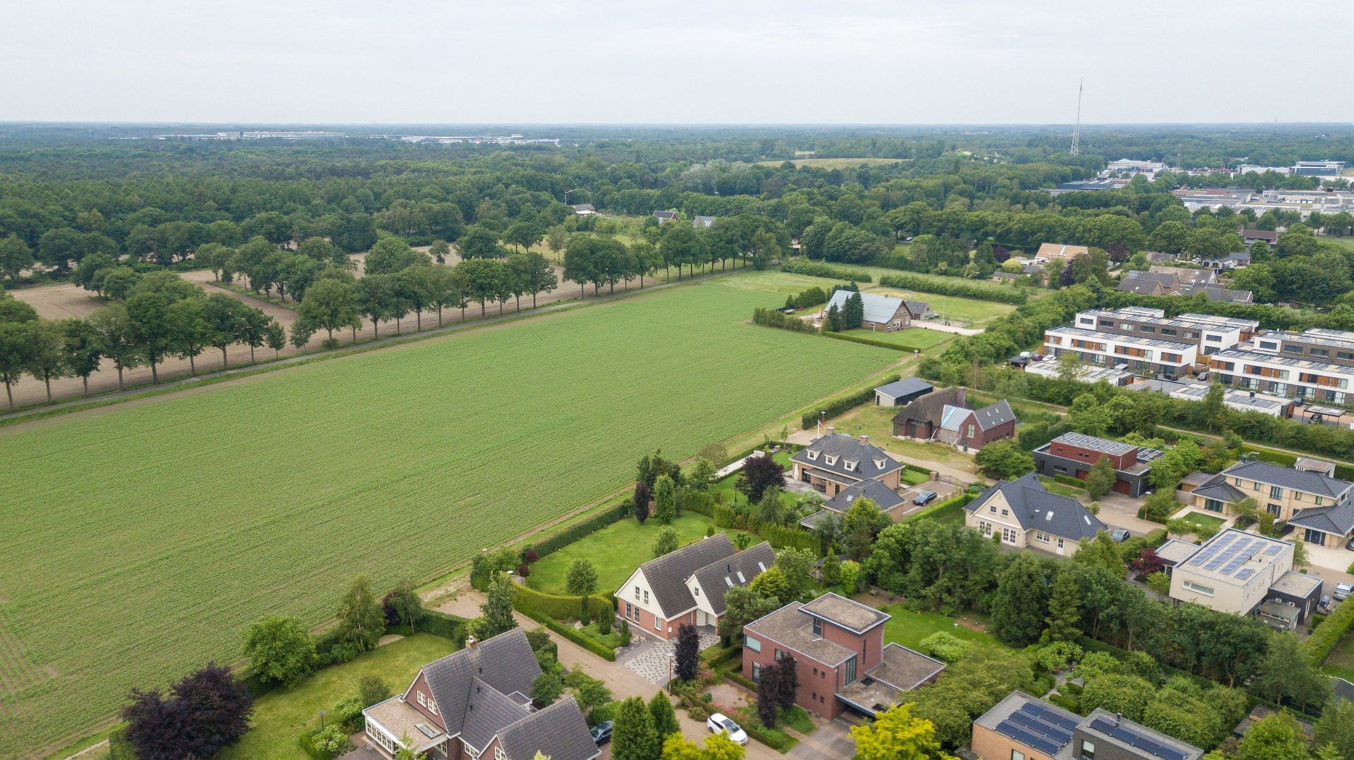 Boterbloem 30, Berghem foto-1
