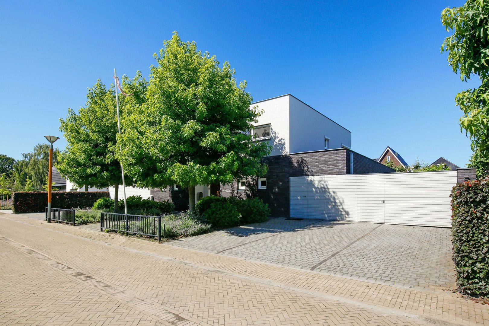 Boterbloem 62, Berghem foto-1