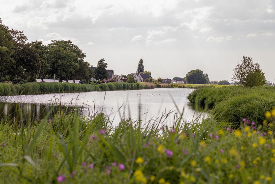 Kleine Molen 12, Bleiswijk foto-2