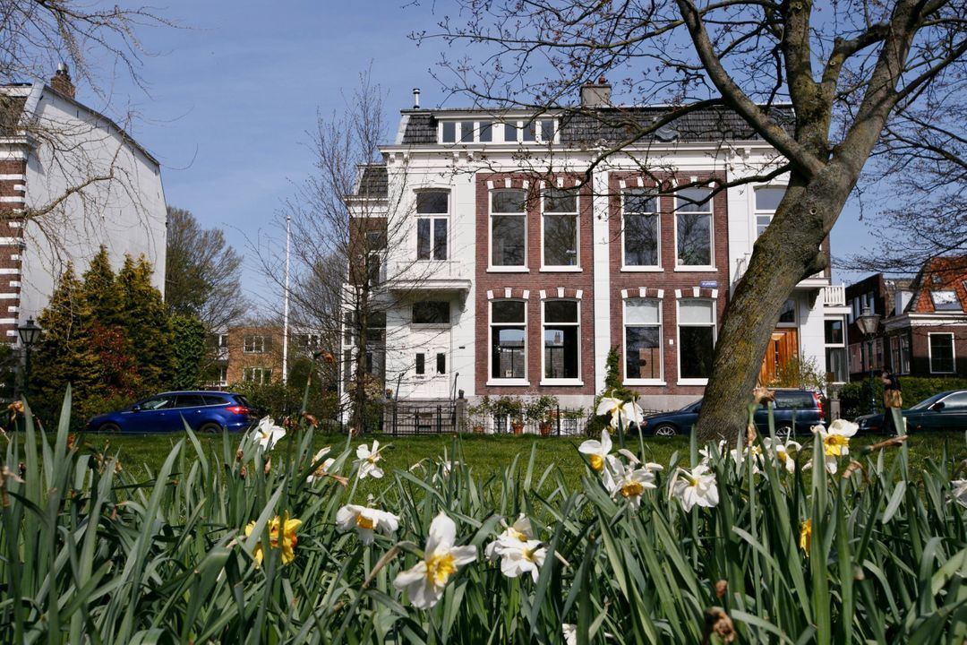 Plantsoen 75, Leiden foto-3