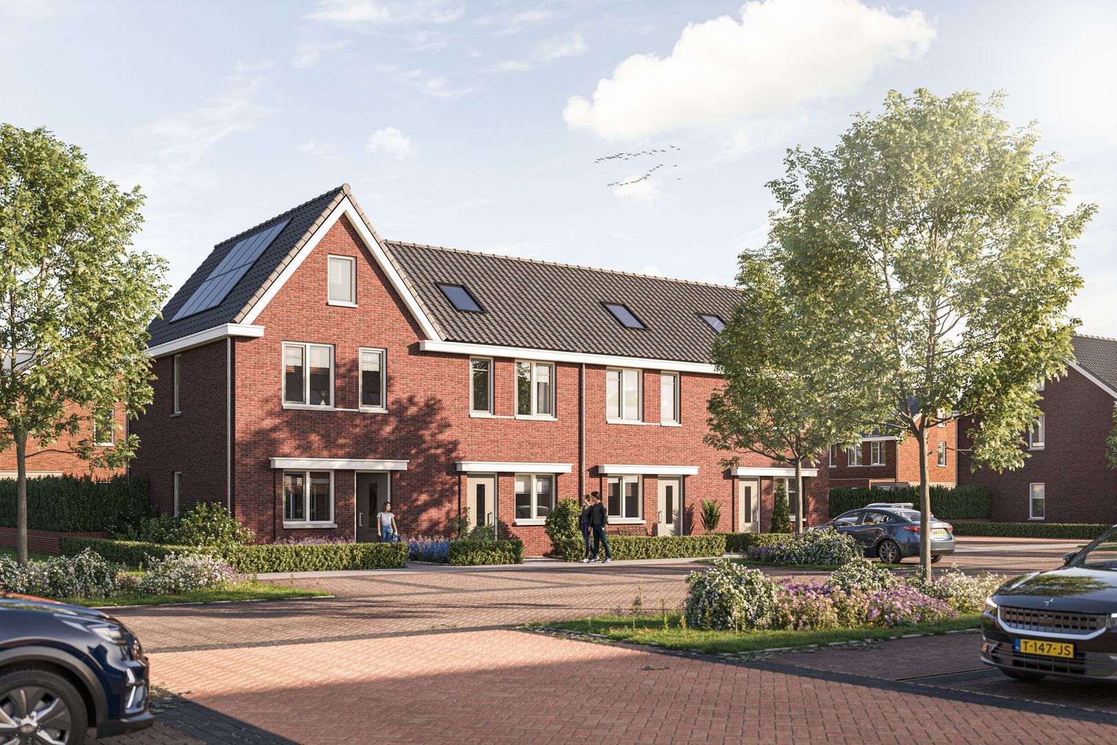 Land Van Essche foto-5