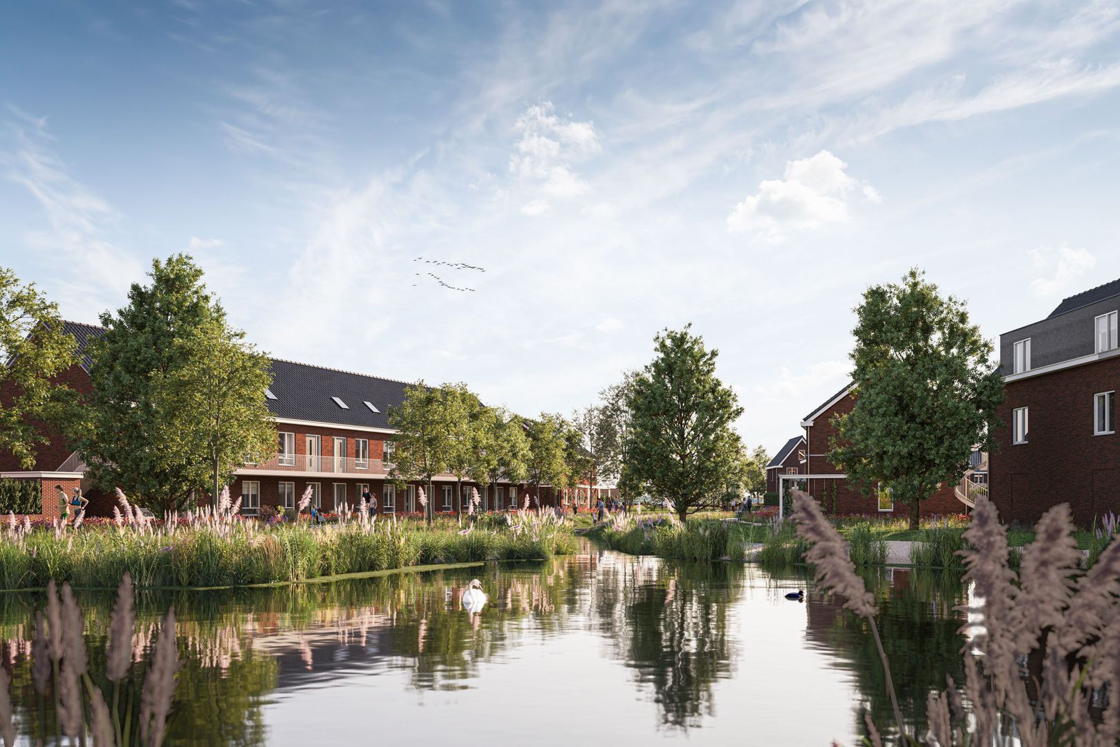 Land Van Essche foto-21