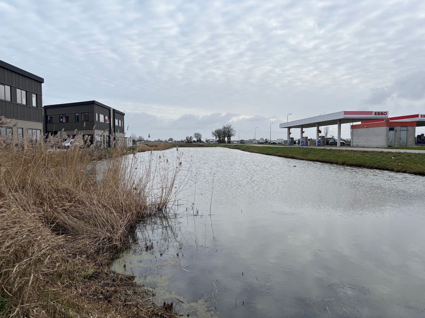 Reedijk 7 T1 foto-2