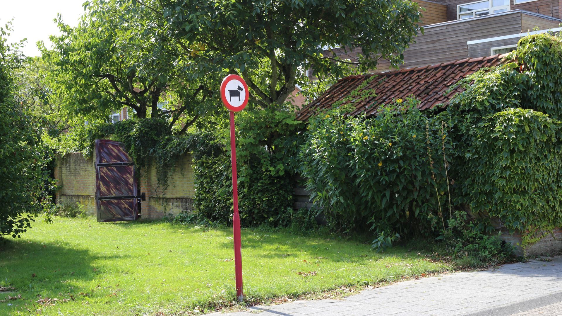Bachlaan 174 foto-55