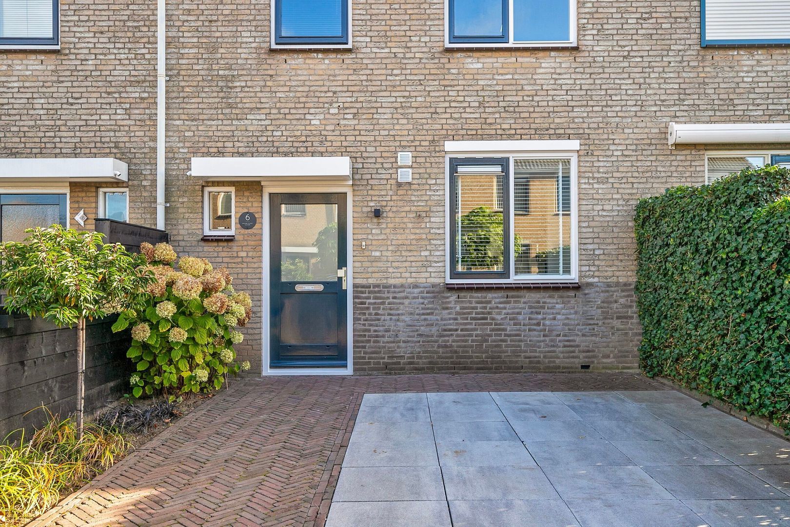 Winterkoning 6 foto-29