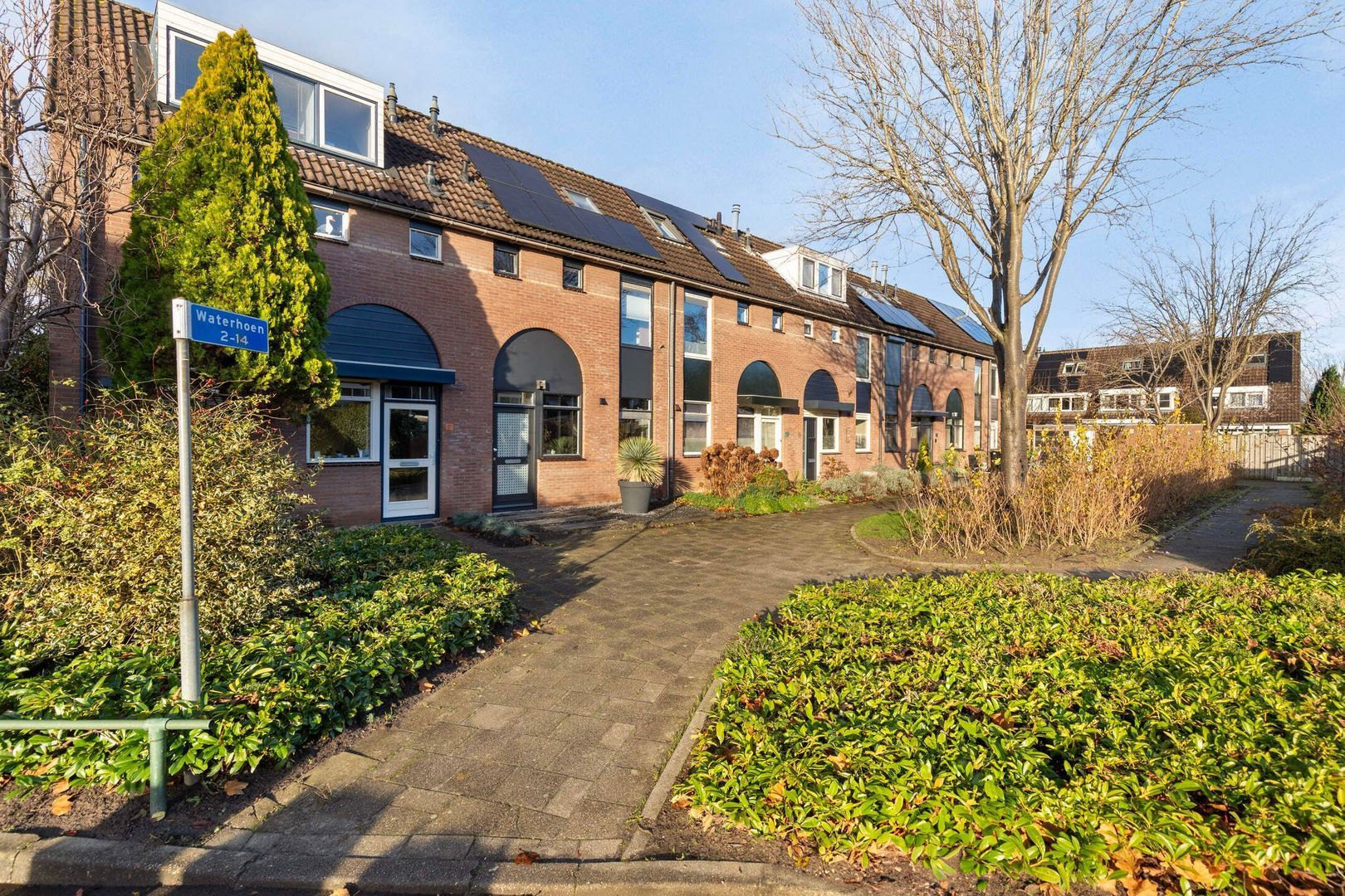 Waterhoen 4 foto-4