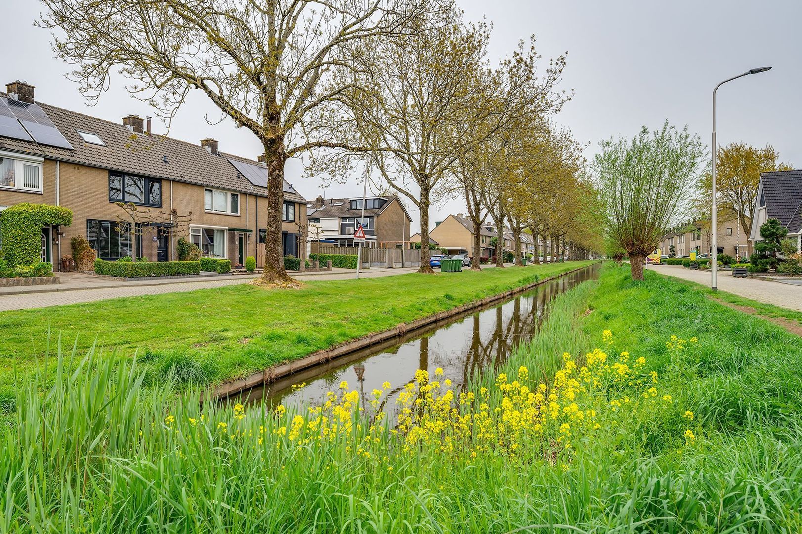 Singel 65 foto-1