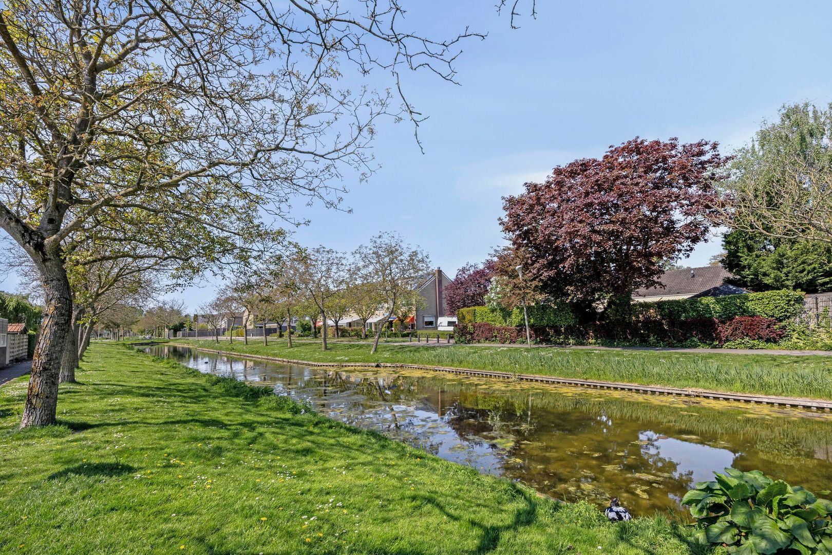 Jan Tooropstraat 45 foto-36