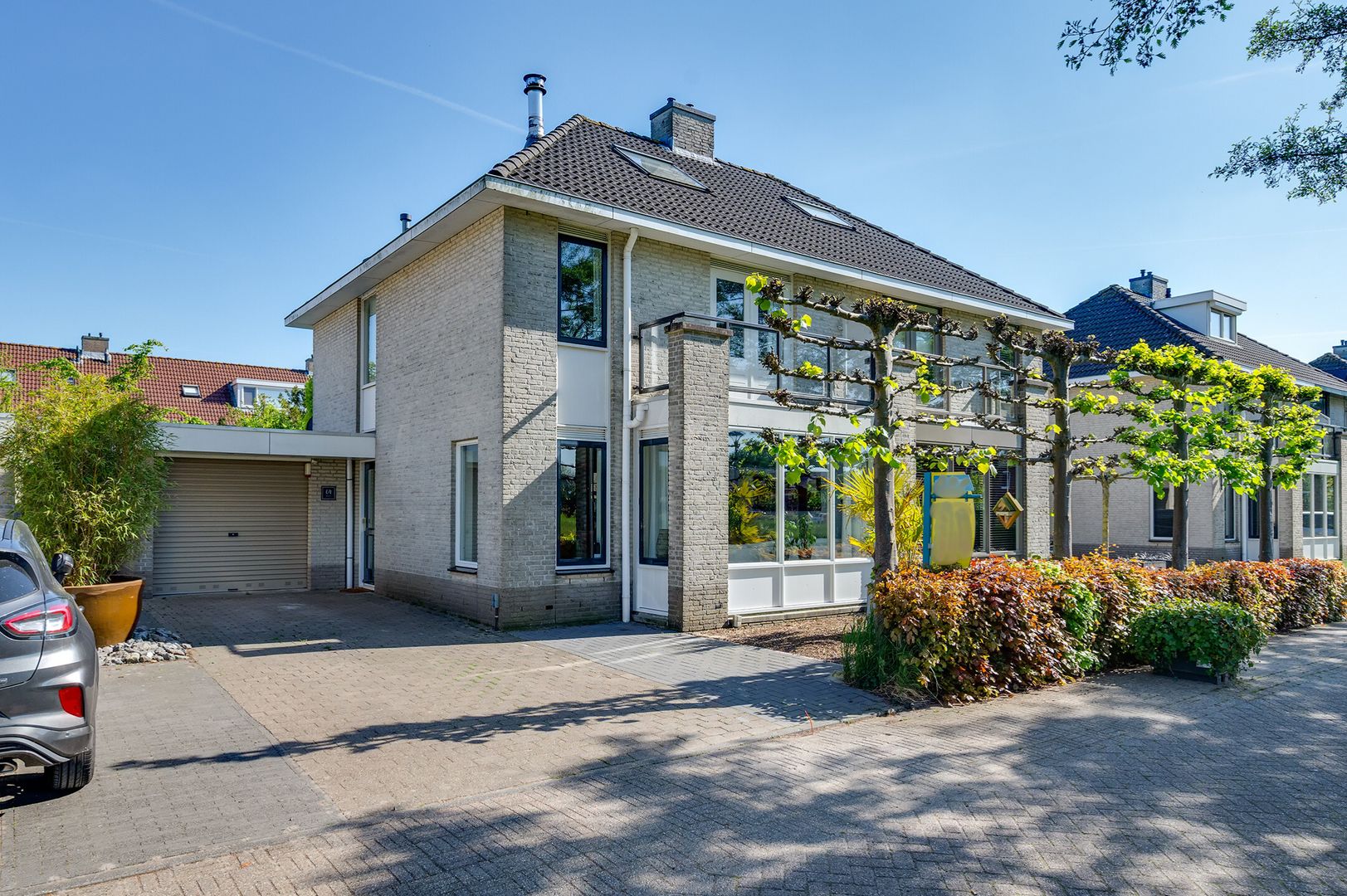 Biezengors 64 foto-0