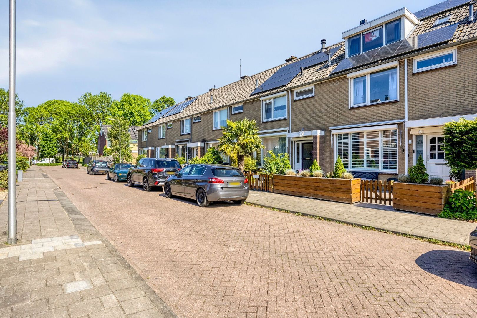 Singel 71 foto-33