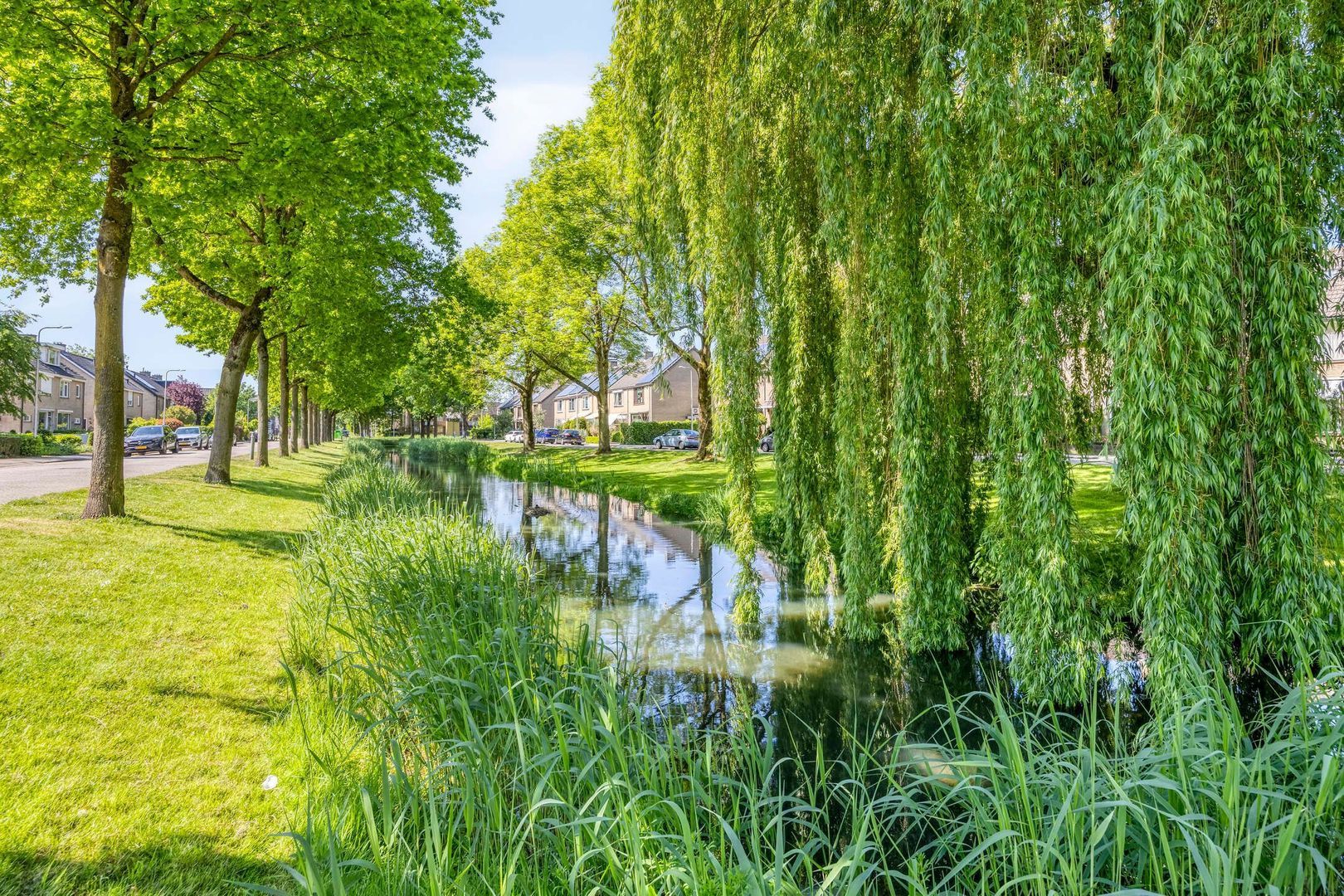 Singel 71 foto-36