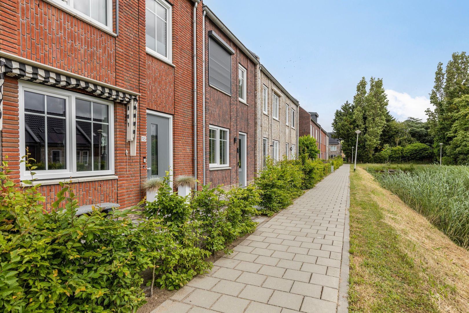 Damweide 18 foto-5