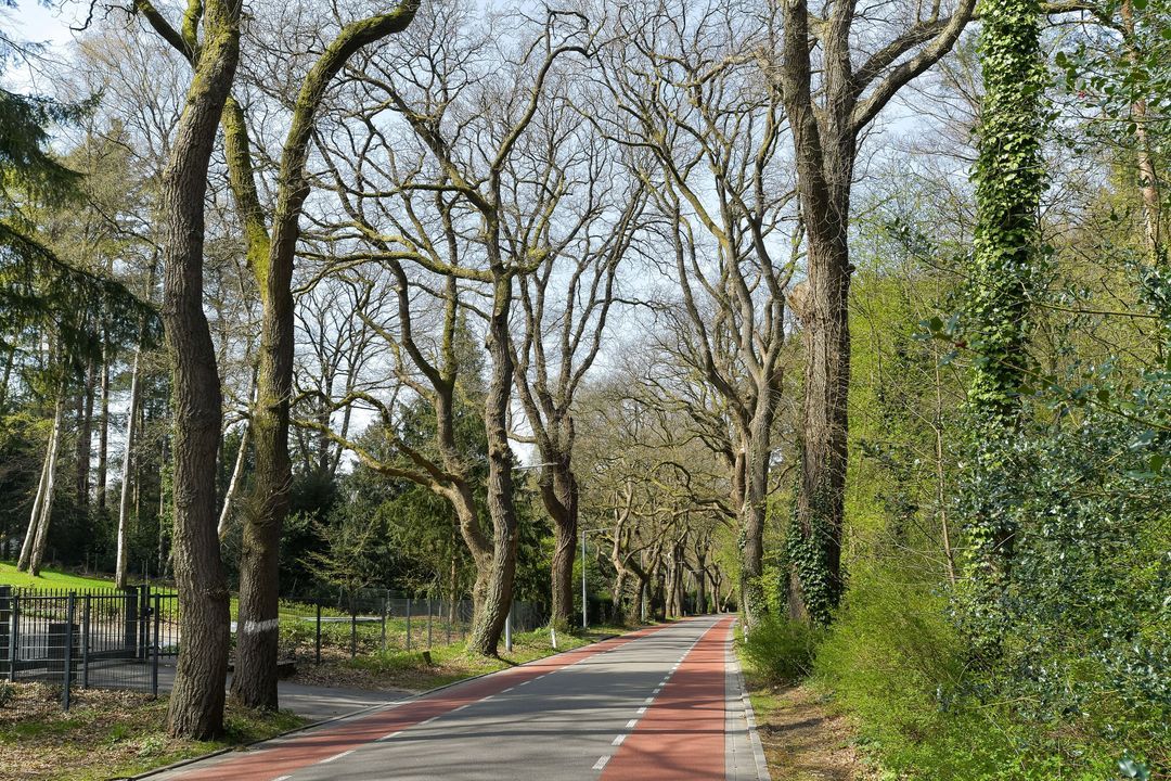 Wolfhezerweg 6 A, Oosterbeek foto-2
