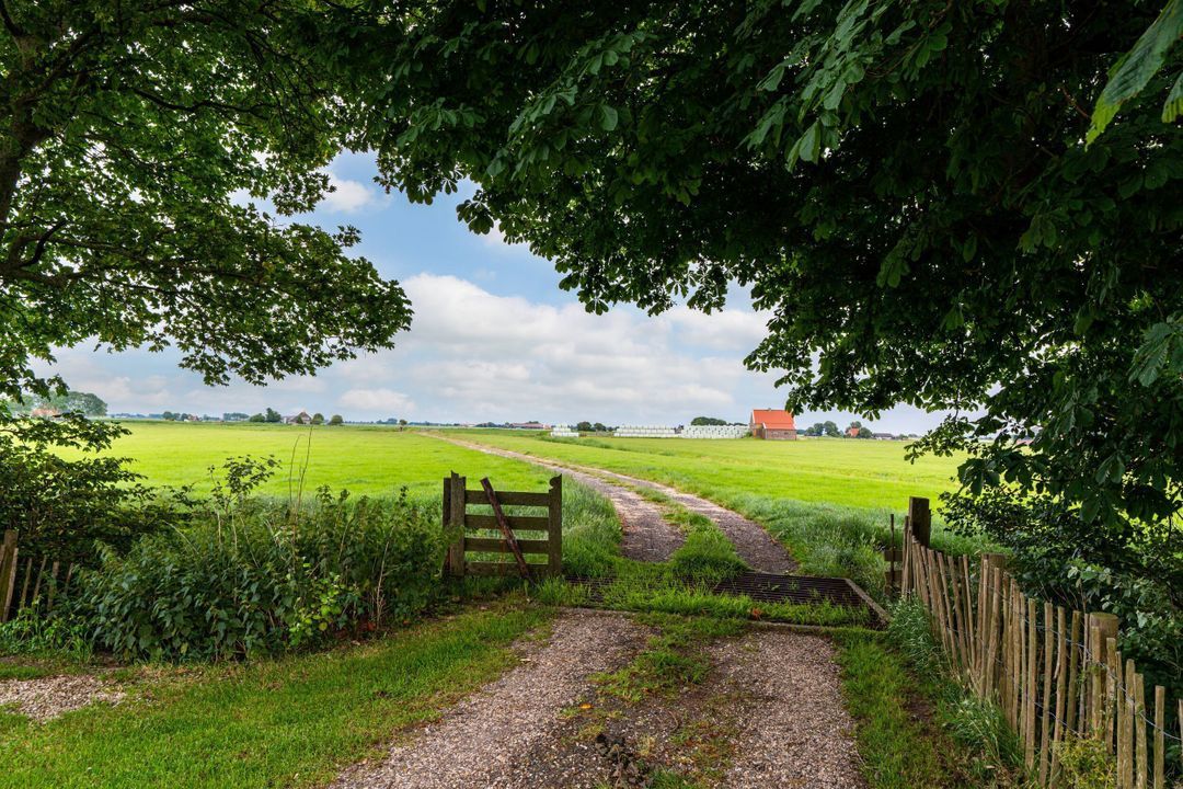 Meerweg 16, Allingawier foto-2