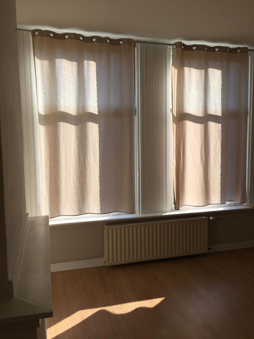 Bekijk for 1/16 van room in 's-gravenhage