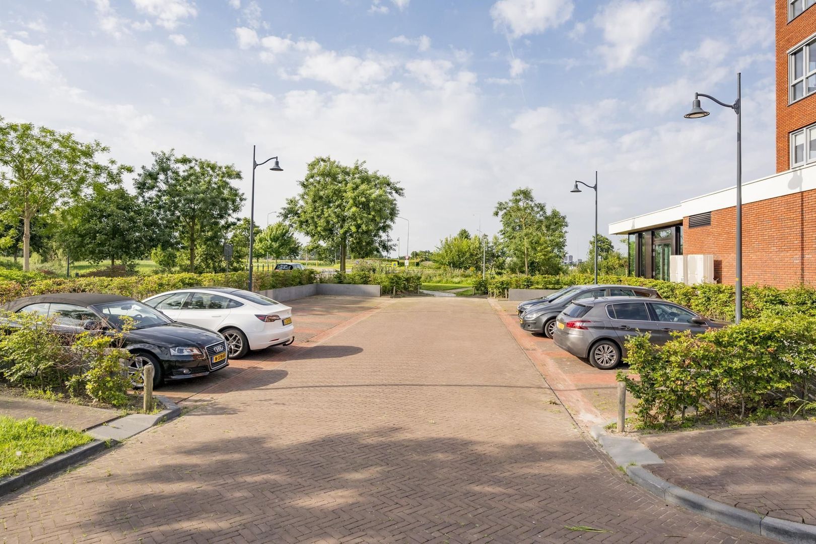 Zijdevlinder 214, Nijkerk foto-25
