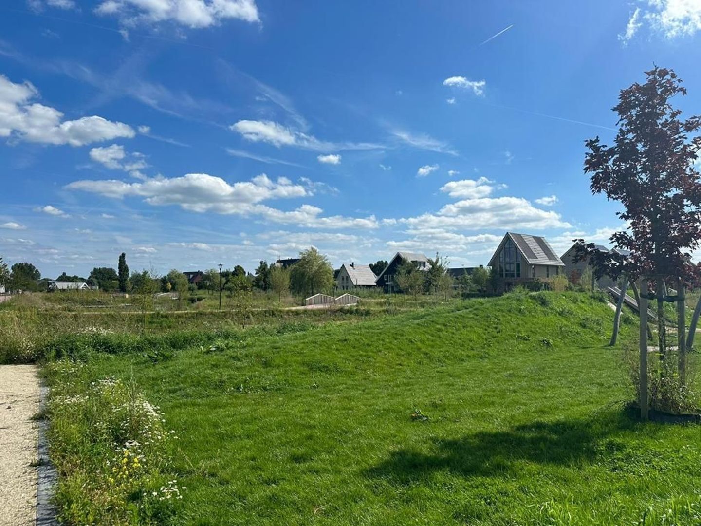 Boomwal 11, Nijkerk foto-42